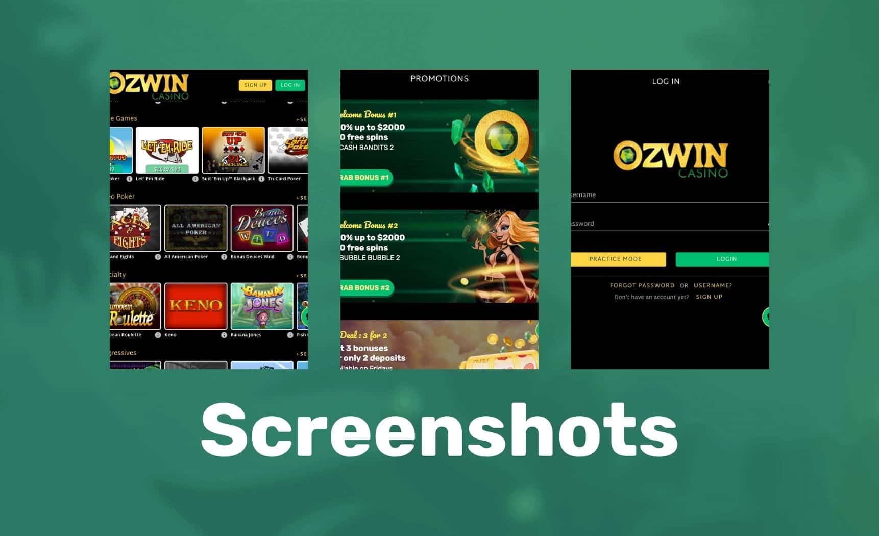 Ozwin Casino Screenshots of application