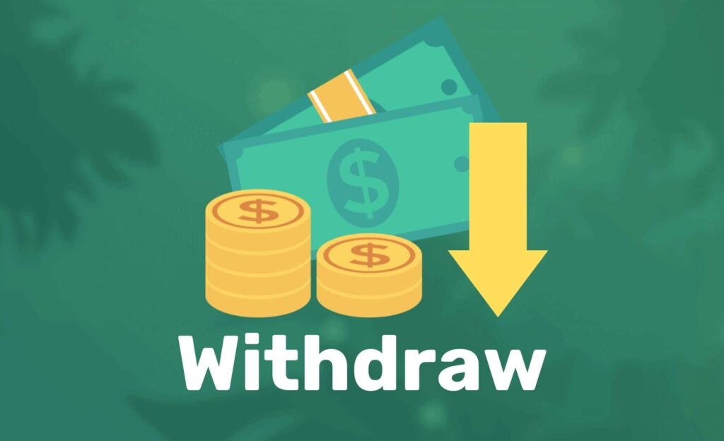 Ozwin Casino Withdraw process Overview