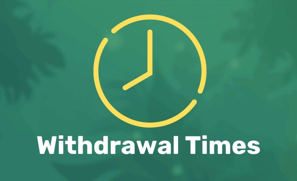 Ozwin Casino Withdrawal Times overview